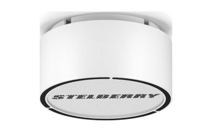 фото - STELBERRY F-310W