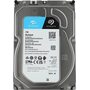 фото - Seagate ST1000VX013