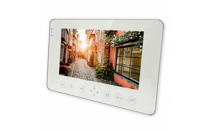 фото - AltCam VDP101M