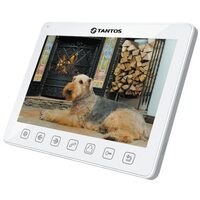 Tantos Sherlock (white)