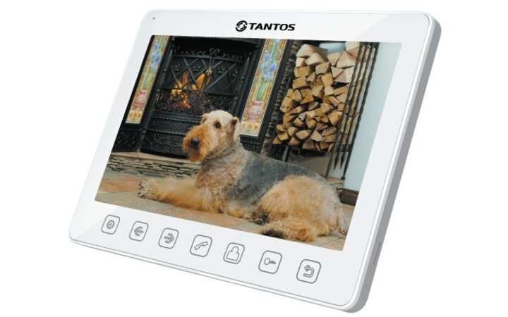 фото - Tantos Sherlock (white)