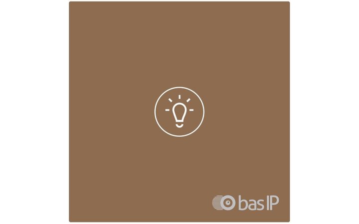 фото - BAS-IP SH-73 золотой