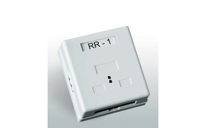 фото - Часовой RR-1