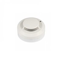 Рубеж ИП 212-141 для подвесного потолка