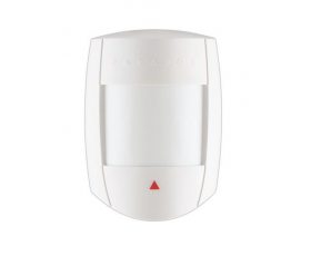 Paradox DG65