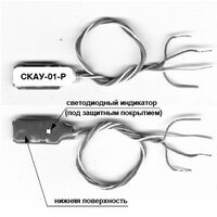 Сигма-ИС СКАУ-01-Р