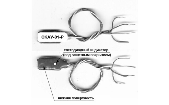 фото - Сигма-ИС СКАУ-01-Р
