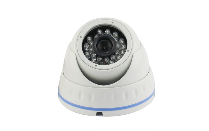 фото - AltCam DDMV21IR