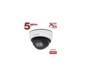 Beward SV3210DBS