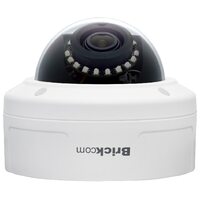 Brickcom VD-302Np V5