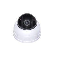 ComOnyX CO-L204X-PTZ05