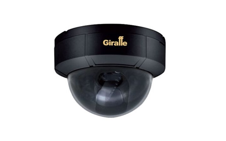 фото - Giraffe GF-D4423AHD-VF