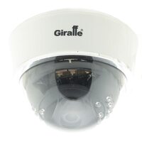 Giraffe GF-IPDIR4423MP1.0