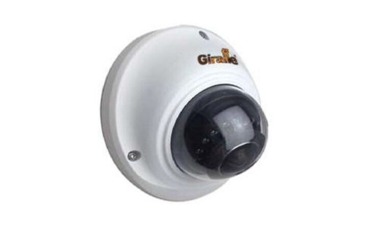 фото - Giraffe GF-VIR4306AHDFY130