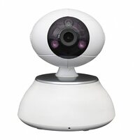 Сапсан IP-Cam iEVE