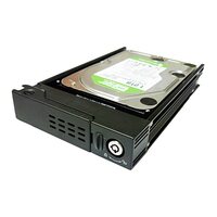 EverFocus Лоток (Paragon)