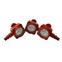 Спецприбор ИП 535 "Гарант" проходной